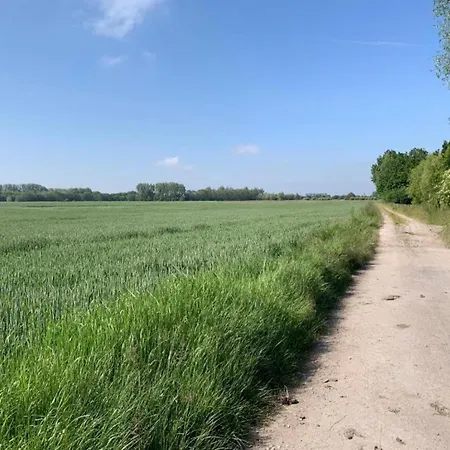 Lejlighed In By The *