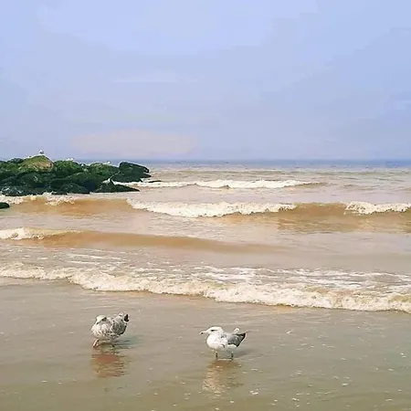 In By The Lejlighed Nieuwpoort